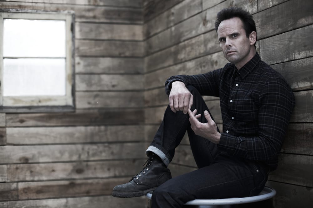 Tomb Raider reboot - Walton Goggins