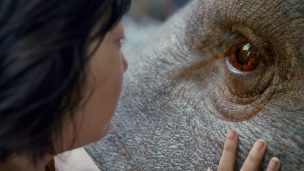 netflix june 2017 okja