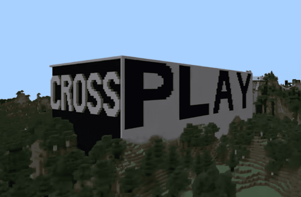 Cross-Platform Play