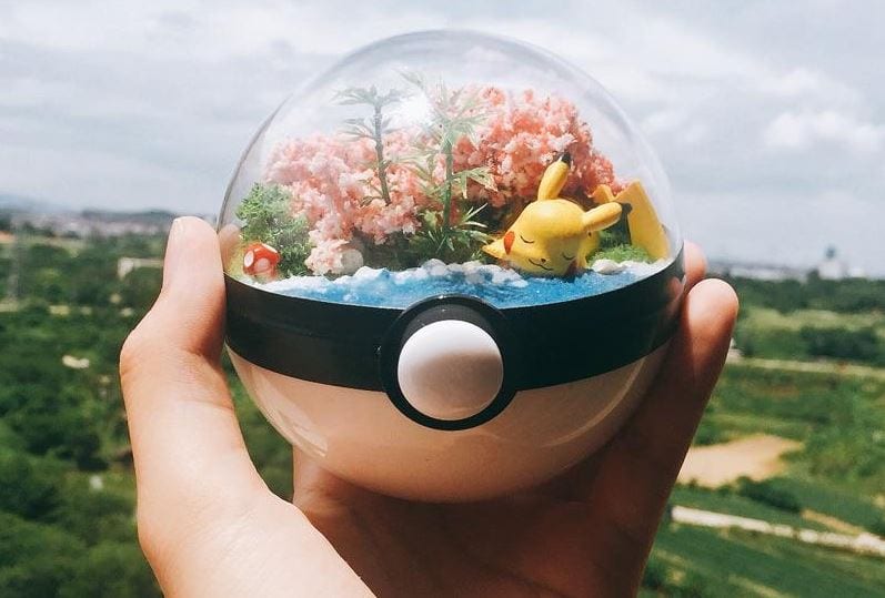 Pokemon Terrarium collectibles