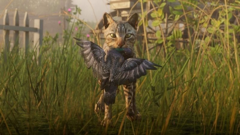 Red Dead Redemption 2 Players Launch Petition To Pet Cats