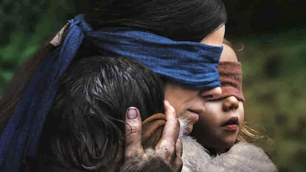 Netflix Warns Fans Of Real Life 'Bird Box' Challenge (VIDEO)