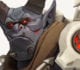 Overwatch Anniversary