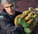 Devil May Cry 5 Monkey Business