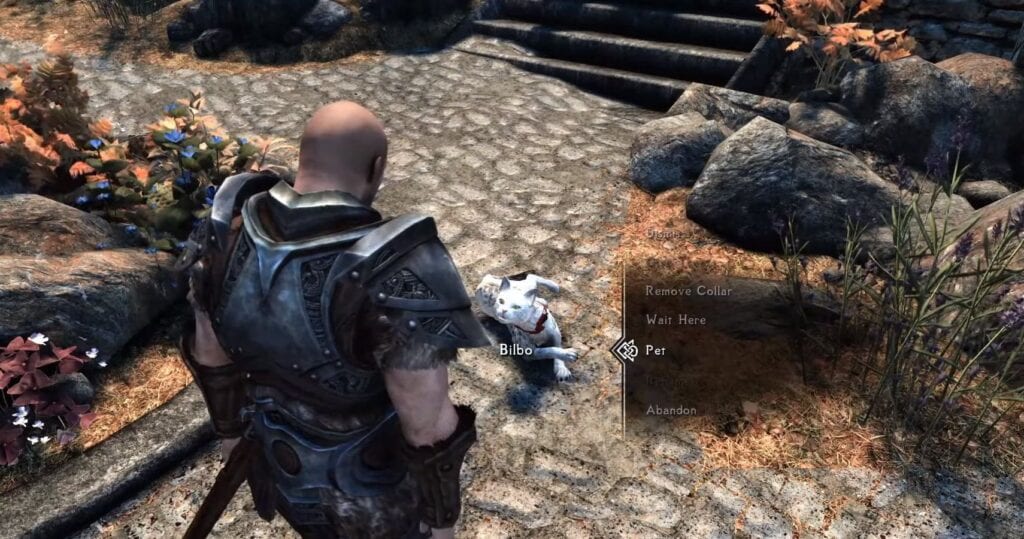 Skyrim Cat Mod