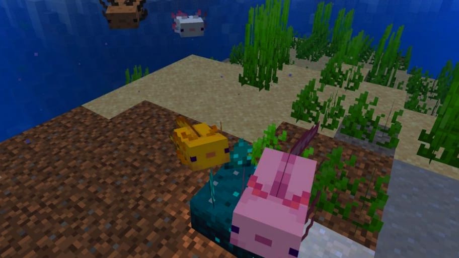 Minecraft Axolotl Snapshot