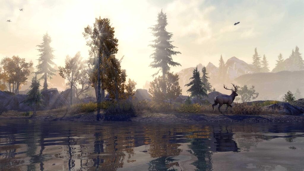 The Elder Scrolls Online Enhanced Next-Gen Update